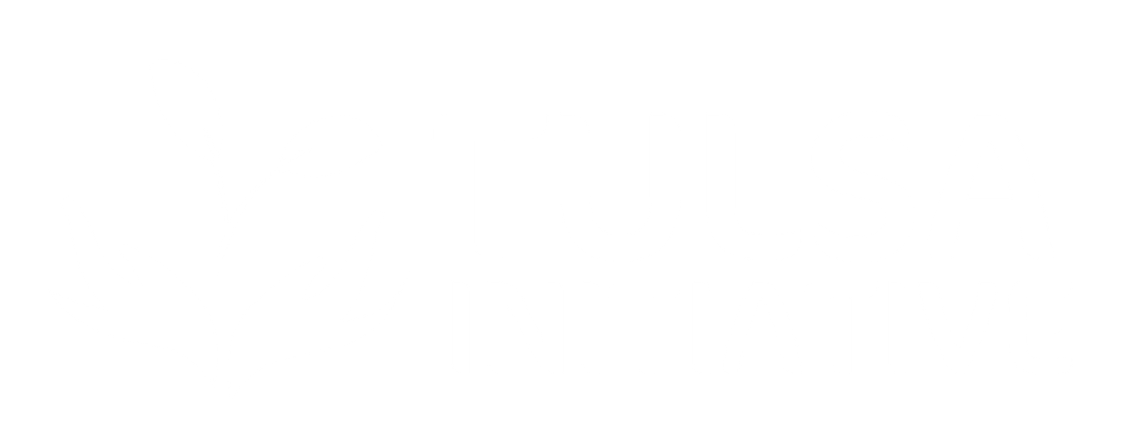 The Tulsa Initiative Inc